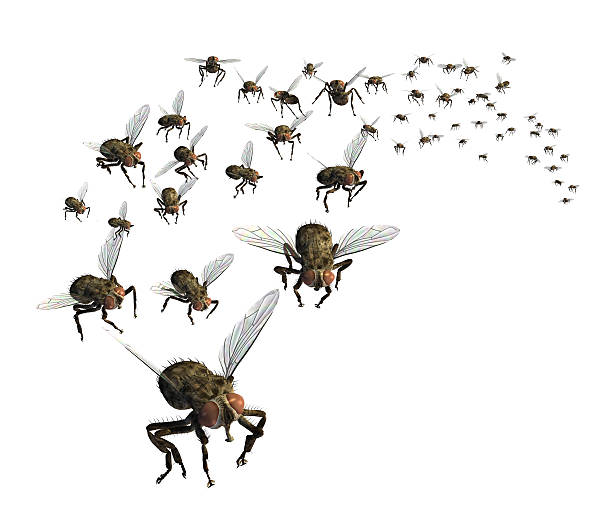 Swarm of flying flies Blank Meme Template