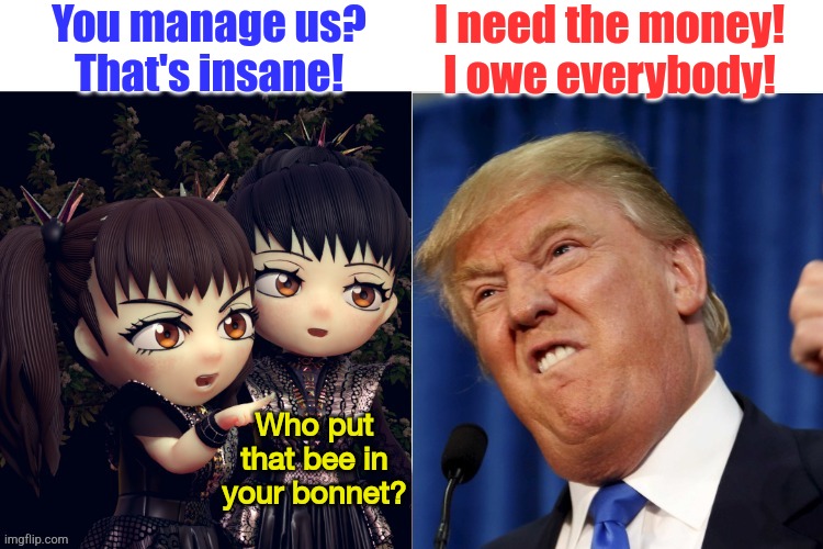 The Don is desperate | You manage us?
That's insane! I need the money!
I owe everybody! Who put that bee in your bonnet? | image tagged in babymetal,donald trump | made w/ Imgflip meme maker