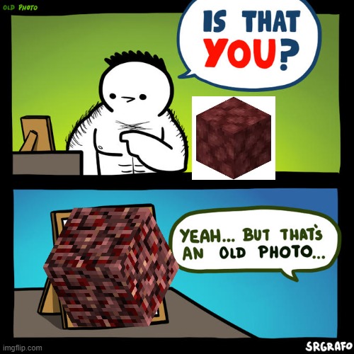 The old Netherrack texture looked disgusting imo | image tagged in minecraft,memes,gaming,old minecraft,new minecraft | made w/ Imgflip meme maker