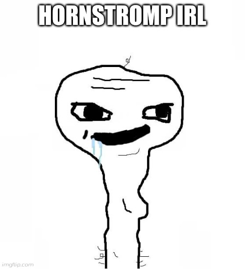 Hornstromp IRL | HORNSTROMP IRL | image tagged in dumb wojak,hornstromp,irl,wojak,grayons,dumb | made w/ Imgflip meme maker