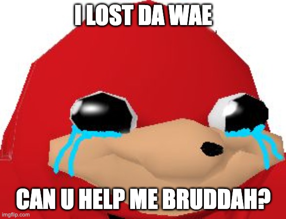 Crying Ugandan Knuckles Transparent | I LOST DA WAE; CAN U HELP ME BRUDDAH? | image tagged in crying ugandan knuckles transparent | made w/ Imgflip meme maker
