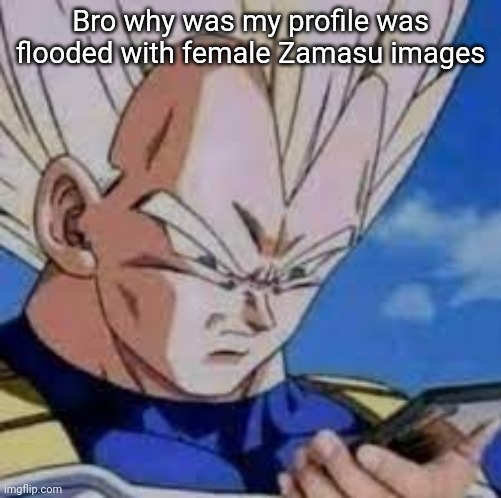 Vegeta looking at phones | Bro why was my profile was flooded with female Zamasu images | image tagged in vegeta looking at phones | made w/ Imgflip meme maker