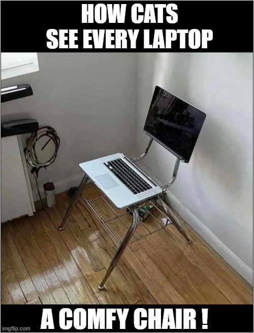 This Explains A Lot ! | HOW CATS SEE EVERY LAPTOP; A COMFY CHAIR ! | image tagged in cats,laptop,chair | made w/ Imgflip meme maker