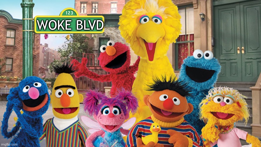 Sesame Street Blank Sign | WOKE BLVD | image tagged in sesame street blank sign | made w/ Imgflip meme maker