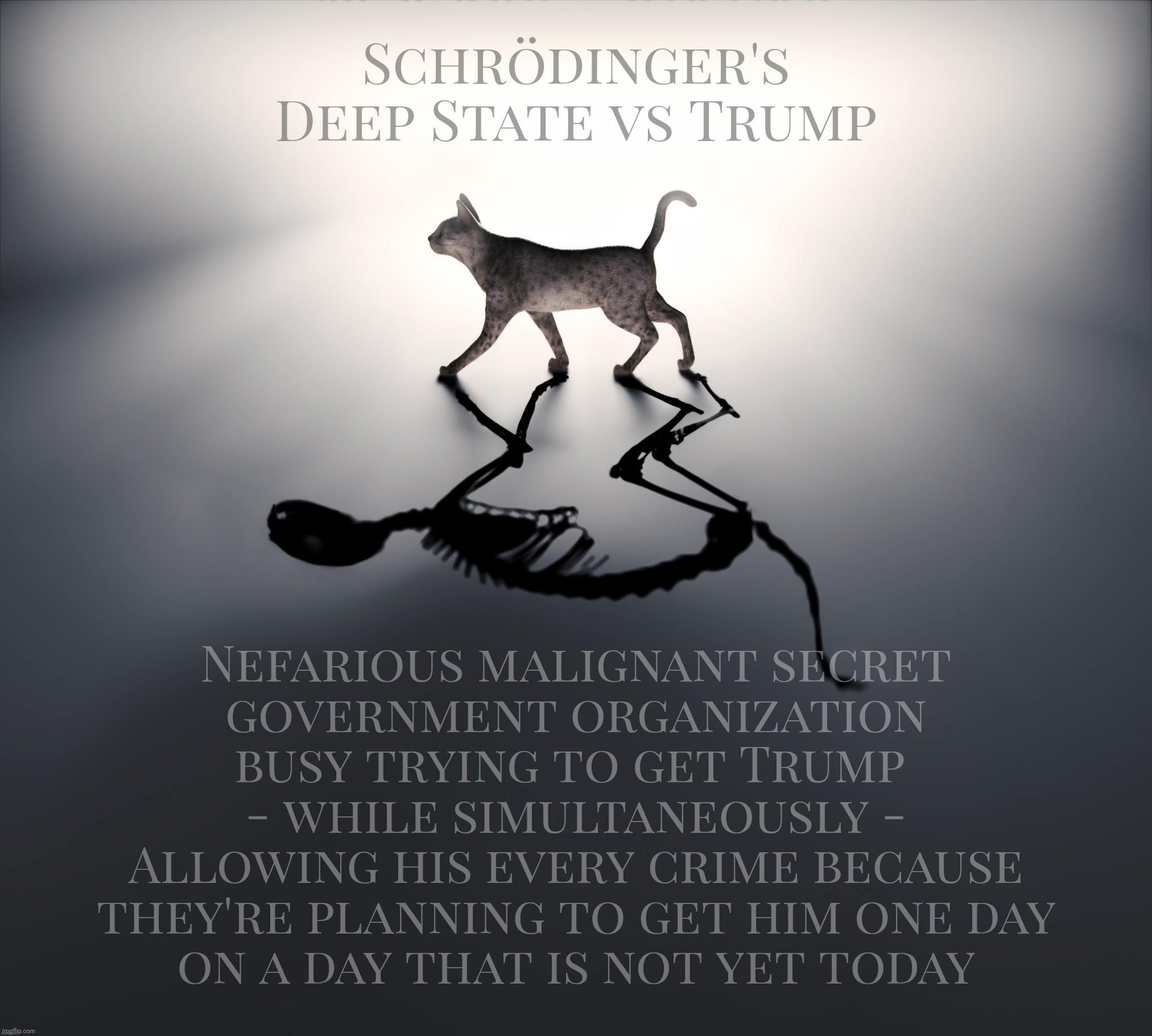 Schrödinger's Deep State vs Trump | Schrödinger's
Deep State vs Trump; Nefarious malignant secret
government organization
busy trying to get Trump 
- while simultaneously -
Allowing his every crime because
they're planning to get him one day
on a day that is not yet today | image tagged in schrodinger's cat,schrodinger's deep state vs trump,trump,donald trump,deep state,the eternal victim | made w/ Imgflip meme maker