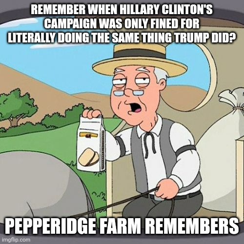 Except Hillary Clinton tried to cover it up and actually broke the law, whereas Trump did not. | REMEMBER WHEN HILLARY CLINTON'S CAMPAIGN WAS ONLY FINED FOR LITERALLY DOING THE SAME THING TRUMP DID? PEPPERIDGE FARM REMEMBERS | image tagged in memes,pepperidge farm remembers | made w/ Imgflip meme maker