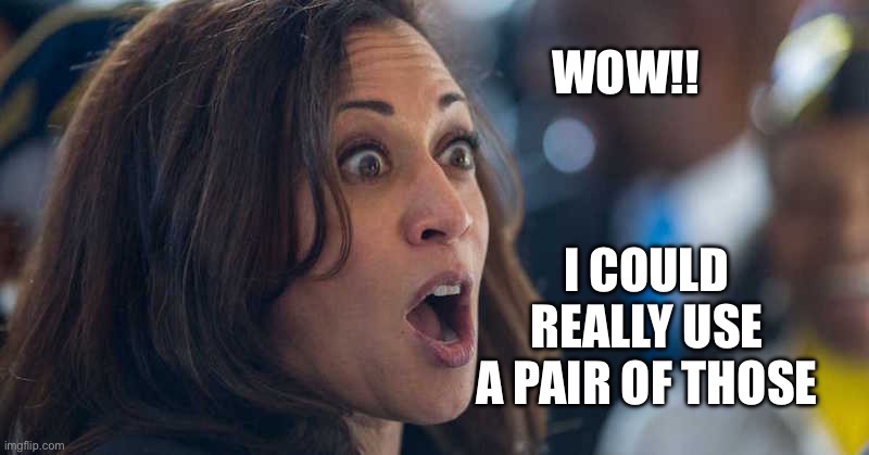 kamala harriss | WOW!! I COULD REALLY USE A PAIR OF THOSE | image tagged in kamala harriss | made w/ Imgflip meme maker