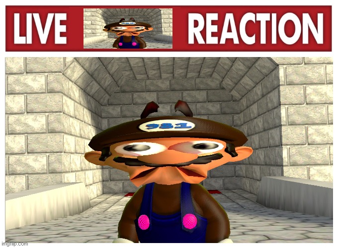 live Jeffe981 (OC) reaction | image tagged in smg4,smg4 oc | made w/ Imgflip meme maker