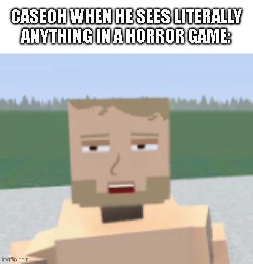 caseoh pogs at everything | CASEOH WHEN HE SEES LITERALLY ANYTHING IN A HORROR GAME: | image tagged in pog,memes | made w/ Imgflip meme maker