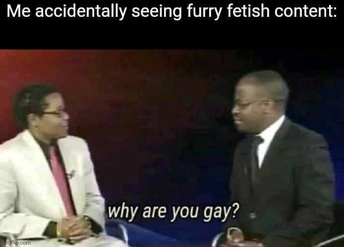 Why are you gay? | Me accidentally seeing furry fetish content: | image tagged in why are you gay | made w/ Imgflip meme maker