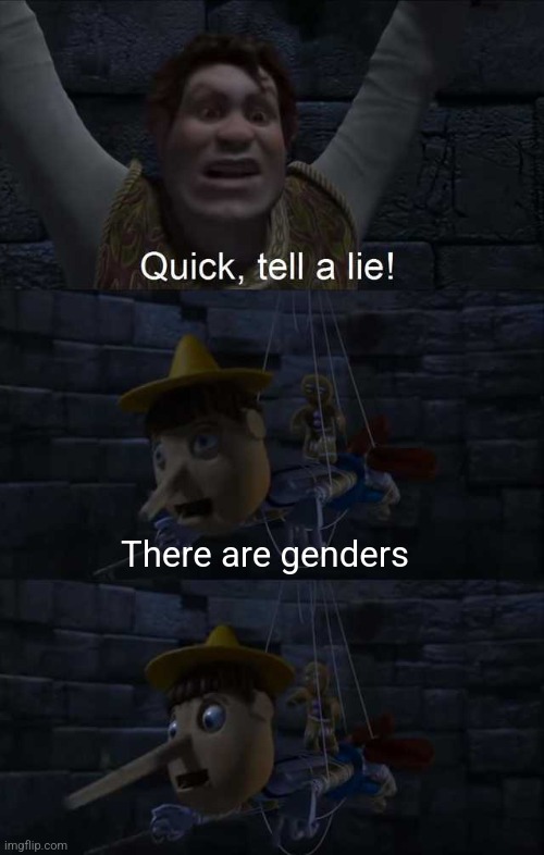 Quick, Tell a Lie! | There are genders | image tagged in quick tell a lie | made w/ Imgflip meme maker