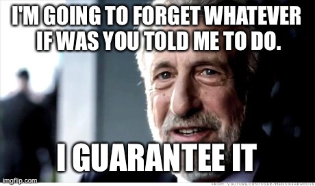 I Guarantee It | I'M GOING TO FORGET WHATEVER IF WAS YOU TOLD ME TO DO. I GUARANTEE IT | image tagged in memes,i guarantee it | made w/ Imgflip meme maker