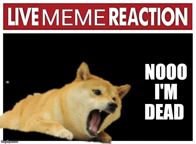 Doge | MEME; NOOO I'M DEAD | image tagged in live reaction,doge | made w/ Imgflip meme maker