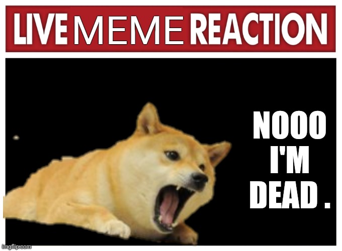 Noooo | MEME; NOOO I'M DEAD . | image tagged in live reaction,doge | made w/ Imgflip meme maker