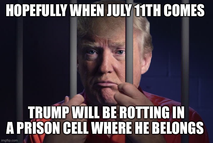 Trump Behind Bars | HOPEFULLY WHEN JULY 11TH COMES; TRUMP WILL BE ROTTING IN A PRISON CELL WHERE HE BELONGS | image tagged in trump behind bars | made w/ Imgflip meme maker