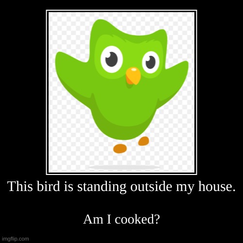 Yes I am | This bird is standing outside my house. | Am I cooked? | image tagged in funny,demotivationals,duolingo,language | made w/ Imgflip demotivational maker