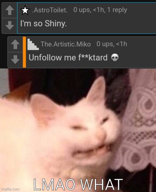 LMAO WHAT | image tagged in cat laughing | made w/ Imgflip meme maker