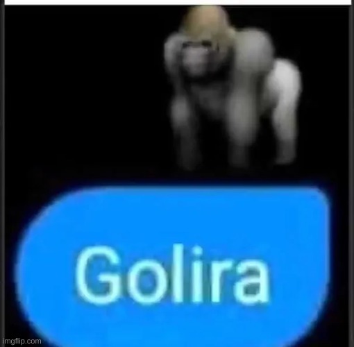 golira | made w/ Imgflip meme maker