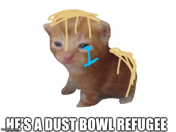 Dust bowl refugee | HE'S A DUST BOWL REFUGEE | image tagged in blank white template | made w/ Imgflip meme maker