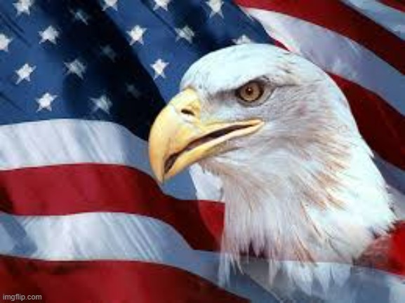 Bald eagle flag geopolitics oil lithium cobalt freedom need reso | image tagged in bald eagle flag geopolitics oil lithium cobalt freedom need reso | made w/ Imgflip meme maker