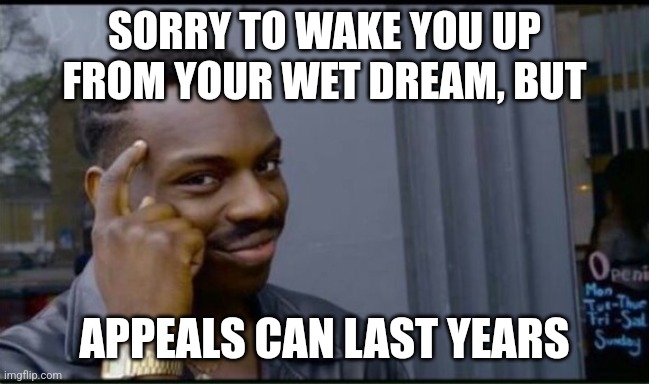 Thinking Black Man | SORRY TO WAKE YOU UP FROM YOUR WET DREAM, BUT APPEALS CAN LAST YEARS | image tagged in thinking black man | made w/ Imgflip meme maker