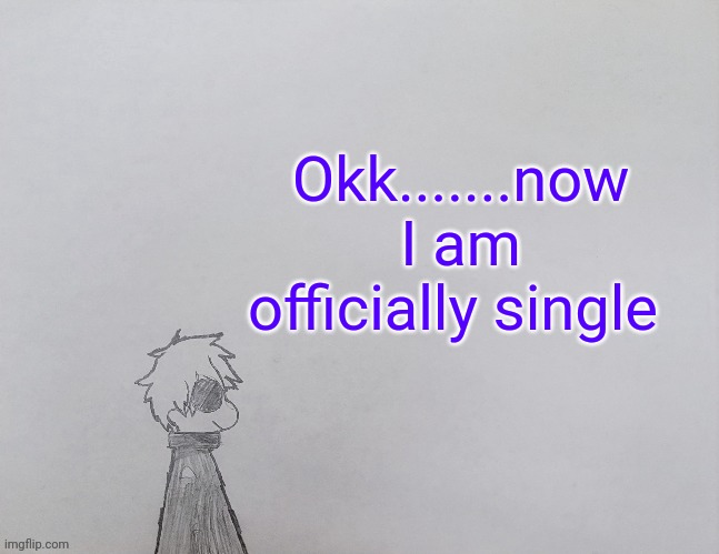 I did it from my side dumbo | Okk.......now I am officially single | image tagged in temp by anybadboy | made w/ Imgflip meme maker