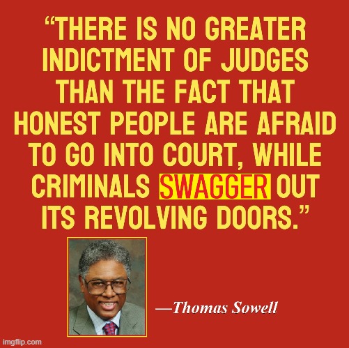 The Wisdom & Genius of Thomas Sowell | image tagged in vince vance,criminals,no bail,judges,quotes,memes | made w/ Imgflip meme maker