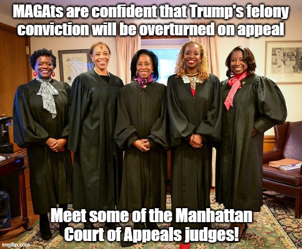 Good luck on that appeal! | MAGAts are confident that Trump's felony
conviction will be overturned on appeal; Meet some of the Manhattan Court of Appeals judges! | image tagged in donald trump,convicted felon,court of appeals | made w/ Imgflip meme maker