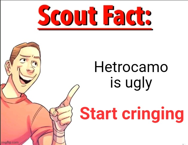 I ain't face revealin cuz I'm ugly | Hetrocamo is ugly; Start cringing | image tagged in scout fact | made w/ Imgflip meme maker