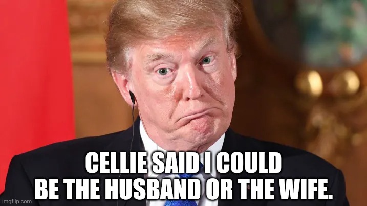 CELLIE SAID I COULD BE THE HUSBAND OR THE WIFE. | made w/ Imgflip meme maker