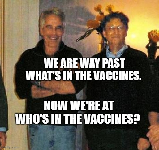 epstein and gates | WE ARE WAY PAST WHAT'S IN THE VACCINES. NOW WE'RE AT WHO'S IN THE VACCINES? | image tagged in epstein and gates | made w/ Imgflip meme maker