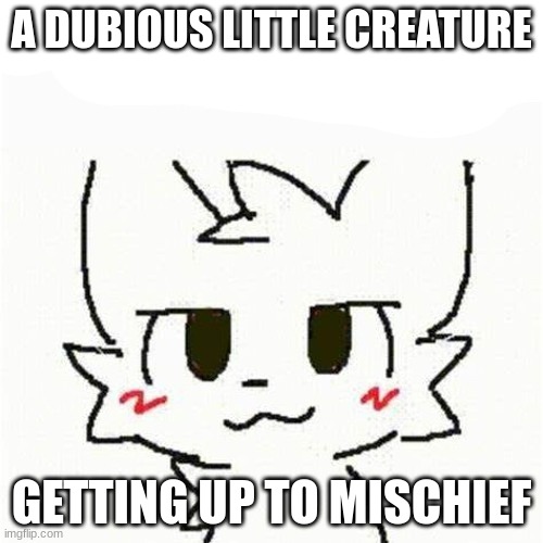 a dubious little creature | A DUBIOUS LITTLE CREATURE; GETTING UP TO MISCHIEF | image tagged in its surprising considering how active i usually am,this is like my one real furpost a year | made w/ Imgflip meme maker