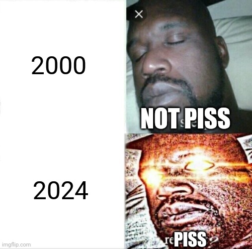 Piss | 2000; NOT PISS; 2024; PISS | image tagged in memes,lol,sleep,piss | made w/ Imgflip meme maker