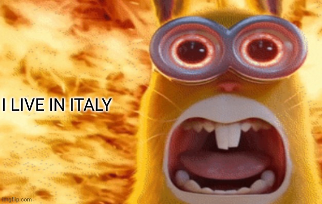 minion rabbit screaming | I LIVE IN ITALY | image tagged in minion rabbit screaming | made w/ Imgflip meme maker