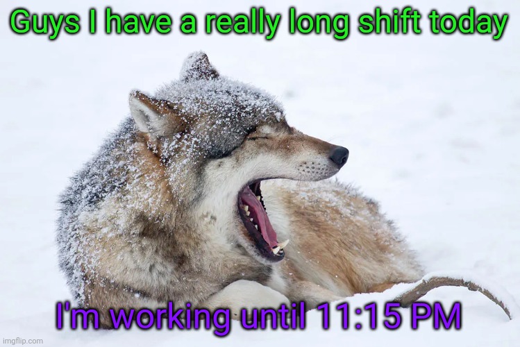 I'll check back during my dinner break | Guys I have a really long shift today; I'm working until 11:15 PM | image tagged in yawning wolf | made w/ Imgflip meme maker