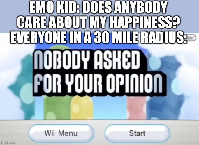 Nobody asked | EMO KID: DOES ANYBODY CARE ABOUT MY HAPPINESS?
EVERYONE IN A 30 MILE RADIUS: | image tagged in nobody asked | made w/ Imgflip meme maker