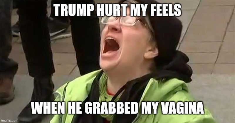 crying liberal | TRUMP HURT MY FEELS WHEN HE GRABBED MY VAGINA | image tagged in crying liberal | made w/ Imgflip meme maker