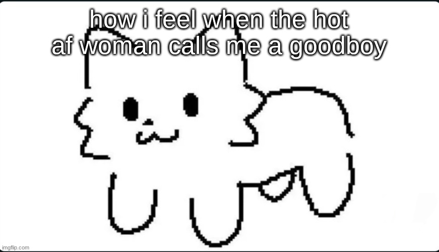 yk who u are | how i feel when the hot af woman calls me a goodboy | image tagged in the goober cat | made w/ Imgflip meme maker