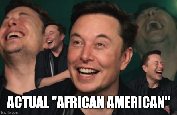 Elon Musk Laughing | ACTUAL "AFRICAN AMERICAN" | image tagged in elon musk laughing | made w/ Imgflip meme maker