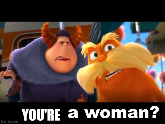 That's a Woman | YOU'RE | image tagged in that's a woman | made w/ Imgflip meme maker