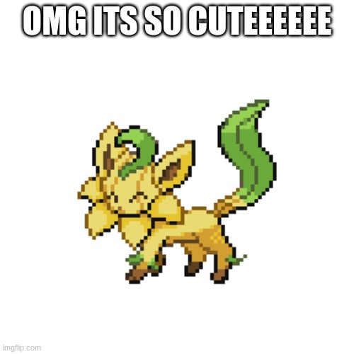 AHHHH ITS TO CUTEEEE | OMG ITS SO CUTEEEEEE | made w/ Imgflip meme maker