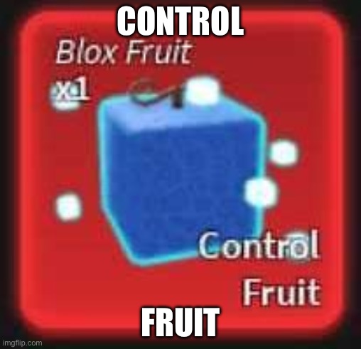 Blox Fruits Control Fruit | CONTROL; FRUIT | image tagged in blox fruits control fruit | made w/ Imgflip meme maker