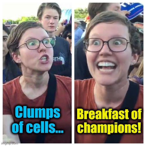 Social Justice Warrior Hypocrisy | Clumps of cells... Breakfast of
champions! | image tagged in social justice warrior hypocrisy | made w/ Imgflip meme maker