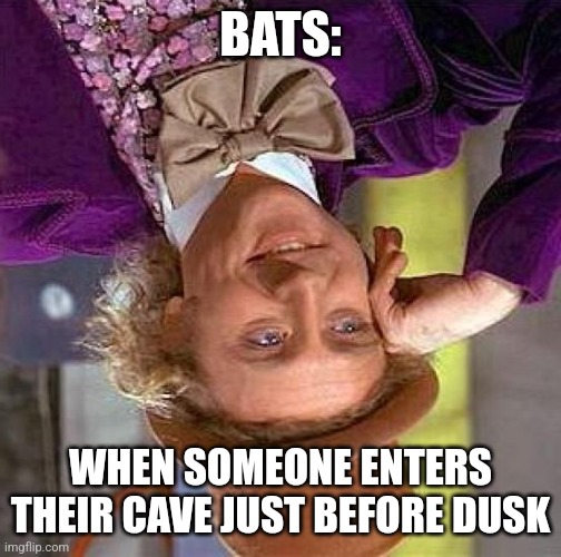 Bats | BATS:; WHEN SOMEONE ENTERS THEIR CAVE JUST BEFORE DUSK | image tagged in memes,creepy condescending wonka,nature,animals,jpfan102504 | made w/ Imgflip meme maker