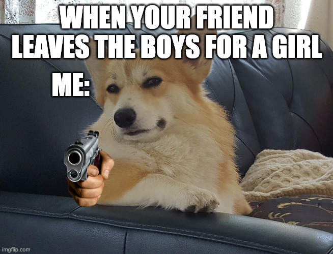 When your friend leaves The Boys for a girl | WHEN YOUR FRIEND LEAVES THE BOYS FOR A GIRL; ME: | image tagged in disappointed corgi | made w/ Imgflip meme maker