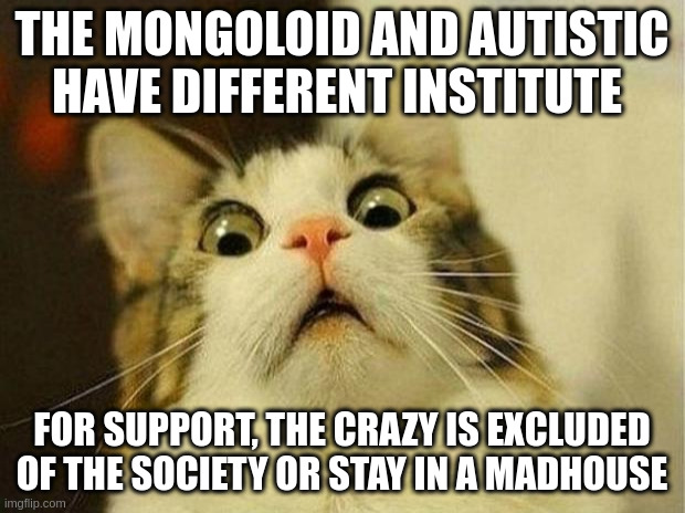 madhouse | THE MONGOLOID AND AUTISTIC HAVE DIFFERENT INSTITUTE; FOR SUPPORT, THE CRAZY IS EXCLUDED OF THE SOCIETY OR STAY IN A MADHOUSE | image tagged in memes,scared cat | made w/ Imgflip meme maker