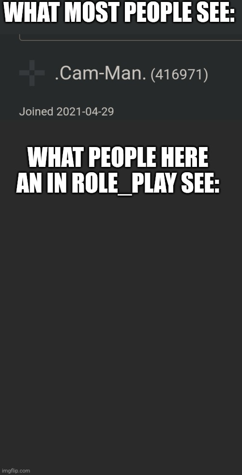 WHAT MOST PEOPLE SEE:; WHAT PEOPLE HERE AN IN ROLE_PLAY SEE: | image tagged in memes,blank transparent square | made w/ Imgflip meme maker