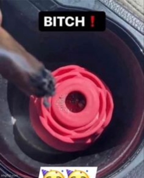 i found a rose toy under my friend's bed, once. | made w/ Imgflip meme maker