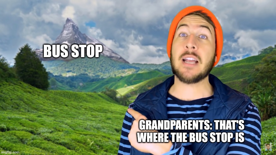 That's the bus stop?!? | BUS STOP; GRANDPARENTS: THAT'S WHERE THE BUS STOP IS | image tagged in ryan george pointing at a mountain,funny,funny memes,relatable,jpfan102504 | made w/ Imgflip meme maker