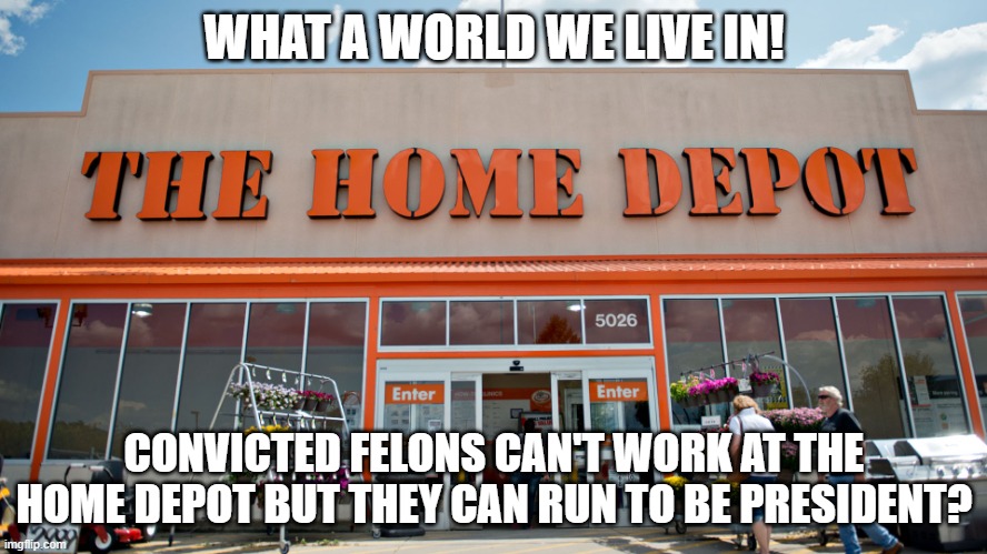 Home Depot | WHAT A WORLD WE LIVE IN! CONVICTED FELONS CAN'T WORK AT THE HOME DEPOT BUT THEY CAN RUN TO BE PRESIDENT? | image tagged in home depot | made w/ Imgflip meme maker